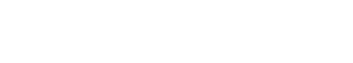 Logo  Maximstore